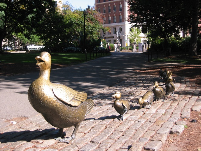 Ducks in a row