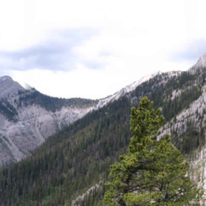 Baldy Pass