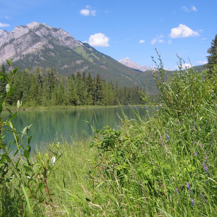 Banff Area