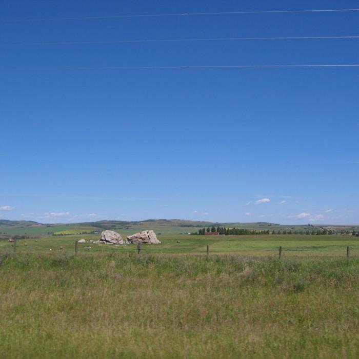 Big Rock Glacial Erratic