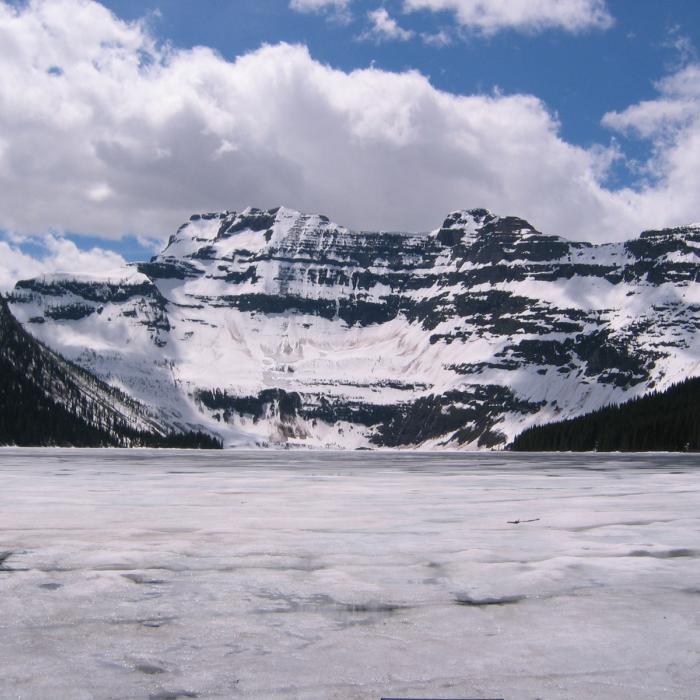 Cameron Lake Spring