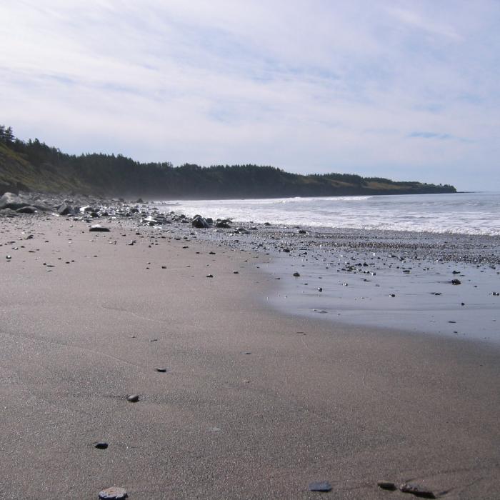 East Coast Beach