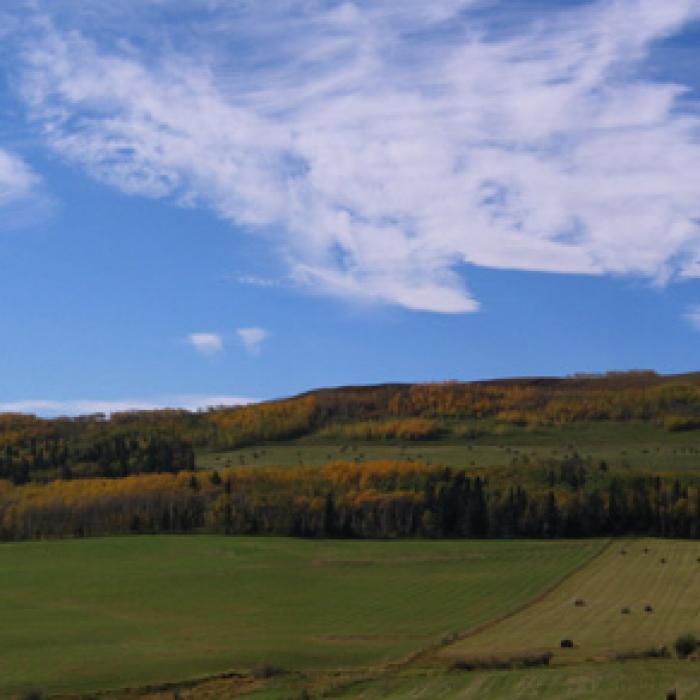 Foothills Highway 762 Looking West