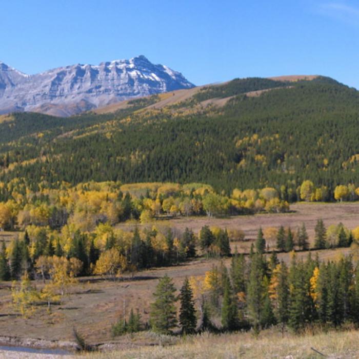 Highwood Valley Highway 40