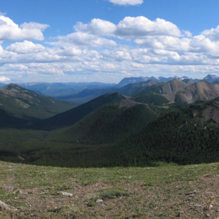 Misty Creek Trail Pan