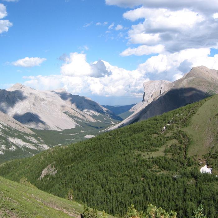 Mount Gibraltar Looking East Down Sheep River Valley