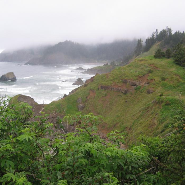 Oregon Coast