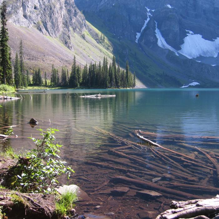 Rawson Lake Alberta