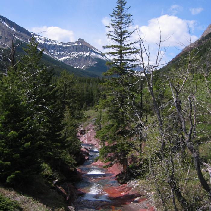 Red Rock Canyon Waterton Lakes National Park