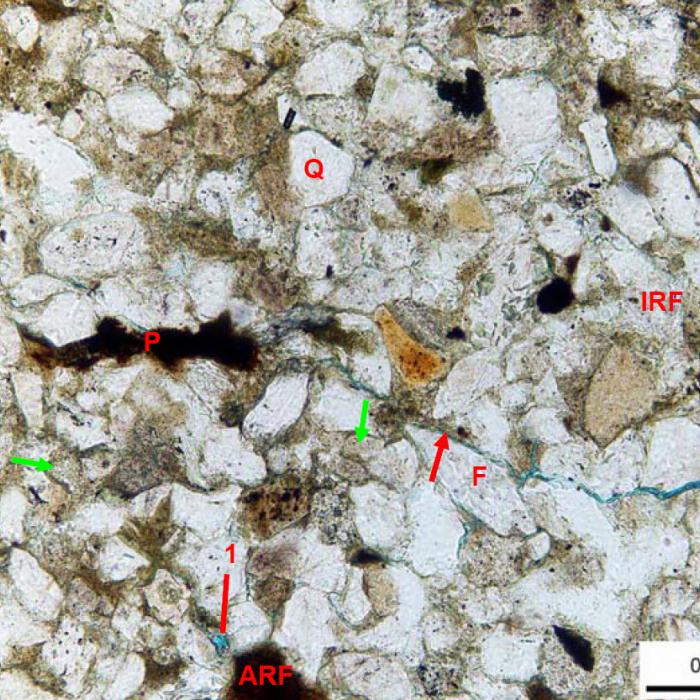 Thin Section Folk Sublitharenite