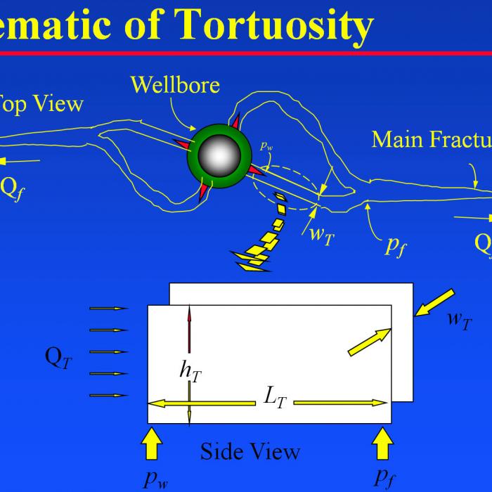 Tortuosity Schematic