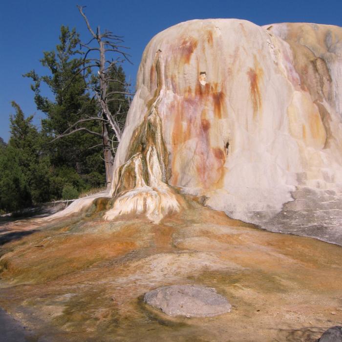 Yellowstone Park Mineral Deposit