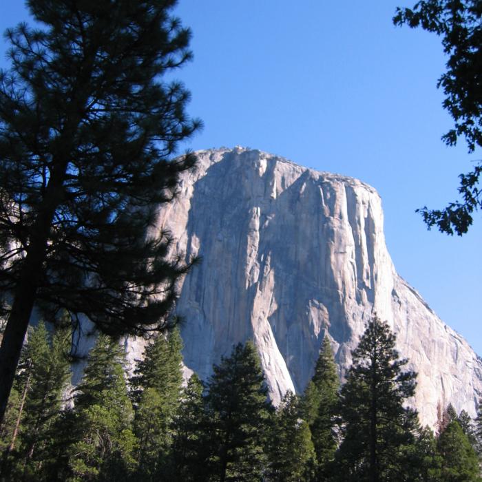 Yosemite Park California