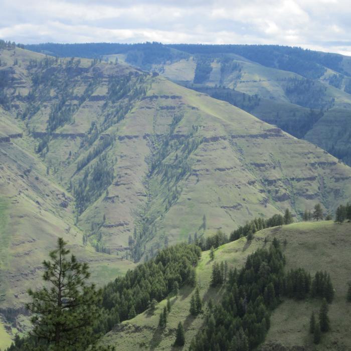 Joseph Canyon Oregon