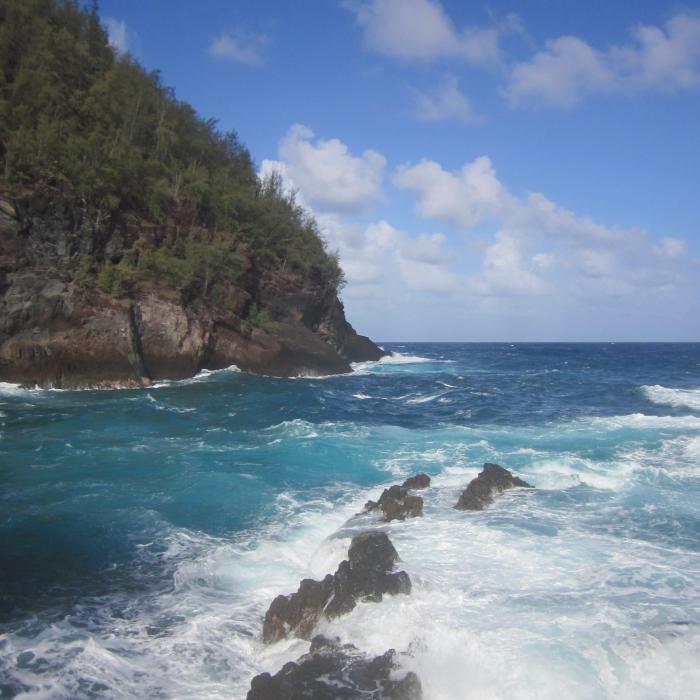 Maui Coast