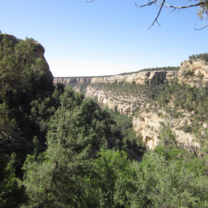 Mesa Verde National Park