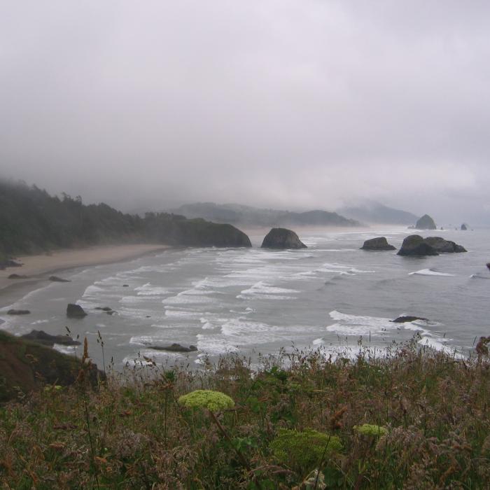 Oregon Coast Overcast Day