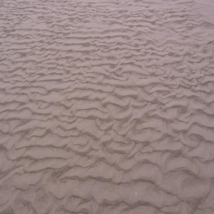 Sand Ripples