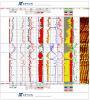 ANS McMurray Oil Sand Example Depth Plot with Image 1