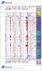 ANS Turner Valley Depth Plot with Core